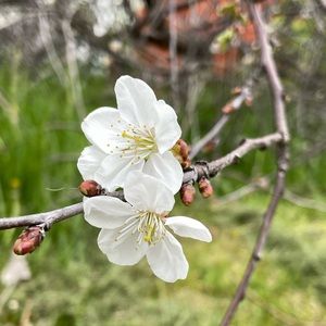 Meet your Posher, Jessi